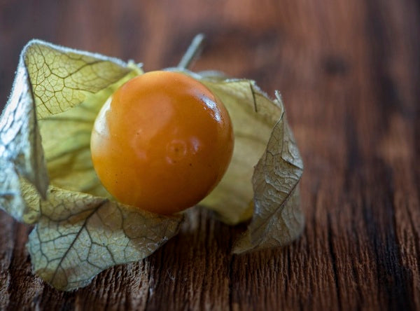 Physalis peruviana / Giant Peruvian Goldenberry