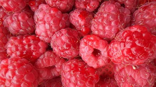 Rubus idaeus / 'Latham Summer-bearing' Raspberry