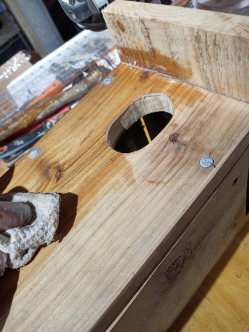 Top Entry Bluebird and cavity-nesting Bird Box