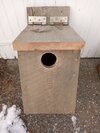 Screech Owl Bird Box - White Oak