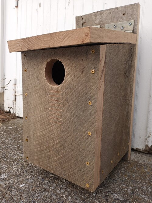 Screech Owl Bird Box - White Oak