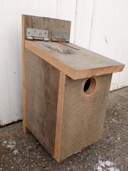 Screech Owl Bird Box - White Oak