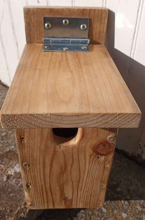 Top Entry Bluebird and cavity-nesting Bird Box