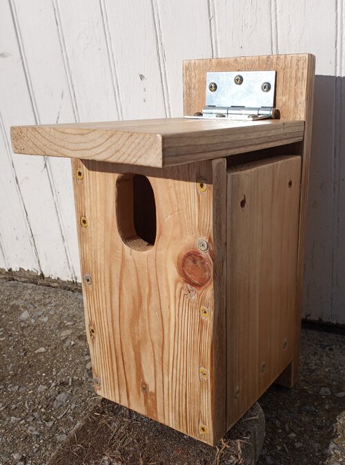 Top Entry Bluebird and cavity-nesting Bird Box