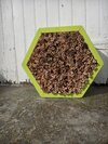 Hexagonal Insect Hotel