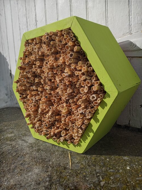 Hexagonal Insect Hotel